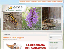 Tablet Screenshot of orostoscana.it